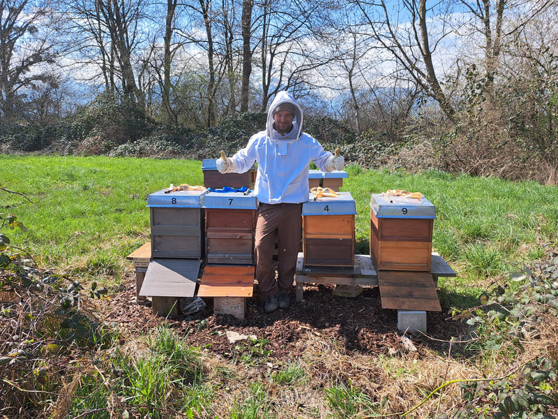 Bienenstand Eschner Riet (FL)