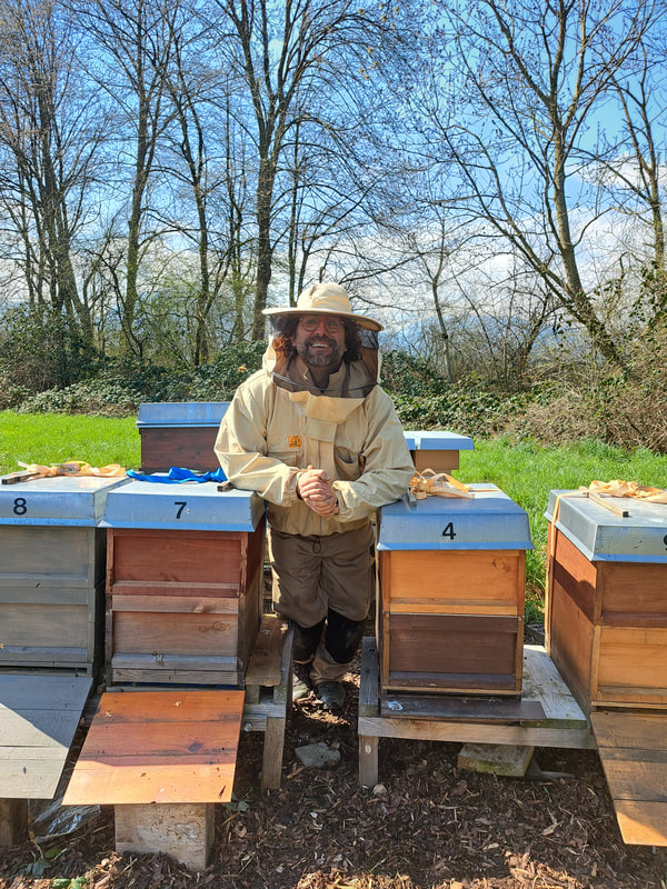 Bienenstand Eschner Riet (FL)