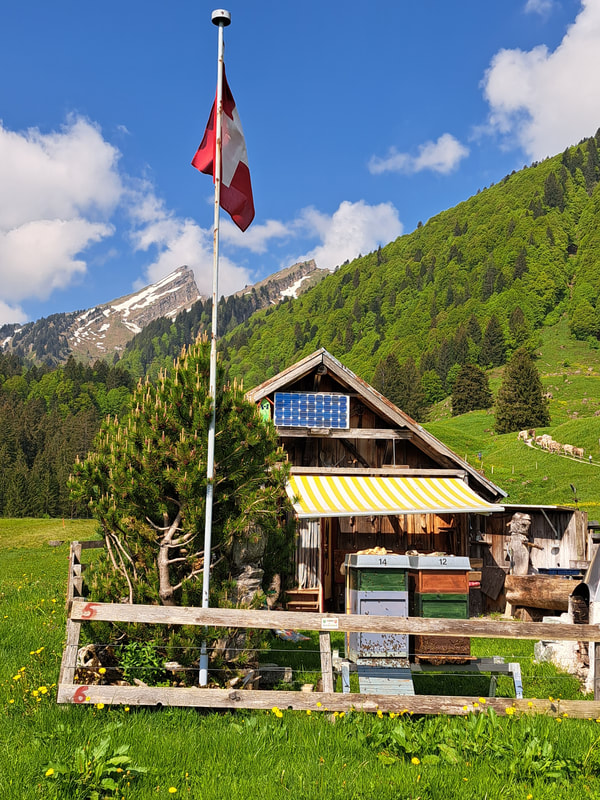 Bienenstand Alp Perfiren, 1100 m. ü. M., Toggenburg (CH)