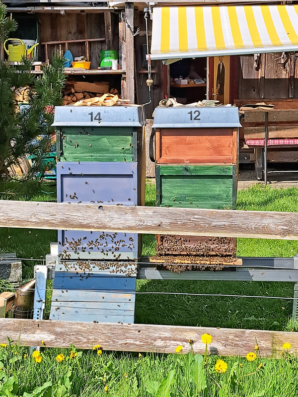 Bienenstand Alp Perfiren, 1100 m. ü. M., Toggenburg (CH)