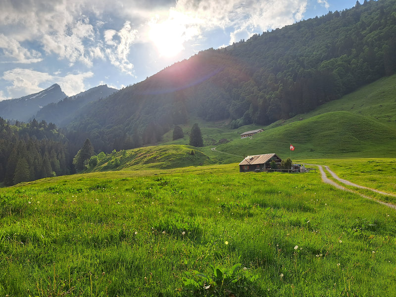 Bienenstand Alp Perfiren, 1100 m. ü. M., Toggenburg