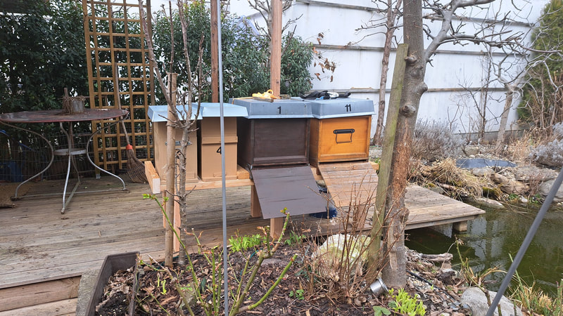 Bienenstand Neugasse 6, Diepoldsau (CH)